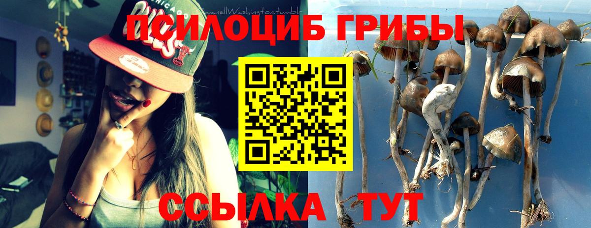 Галлюциногенные грибы мицелий Гагарин
